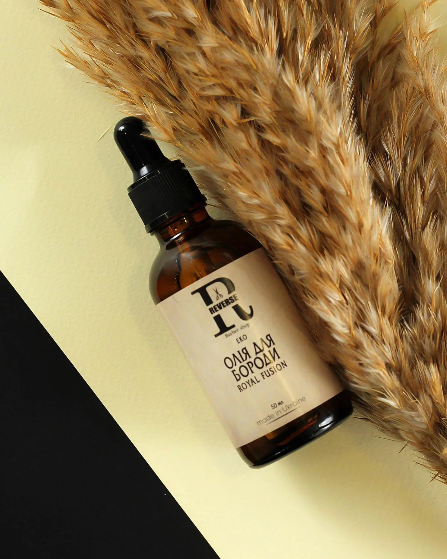 455884543_18023903897521203_1046667037118698938_n