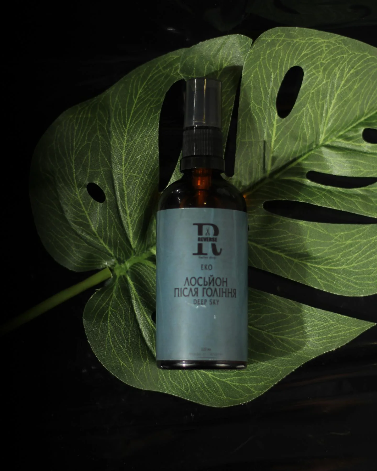 456696669_18024865586521203_3264247556796076243_n