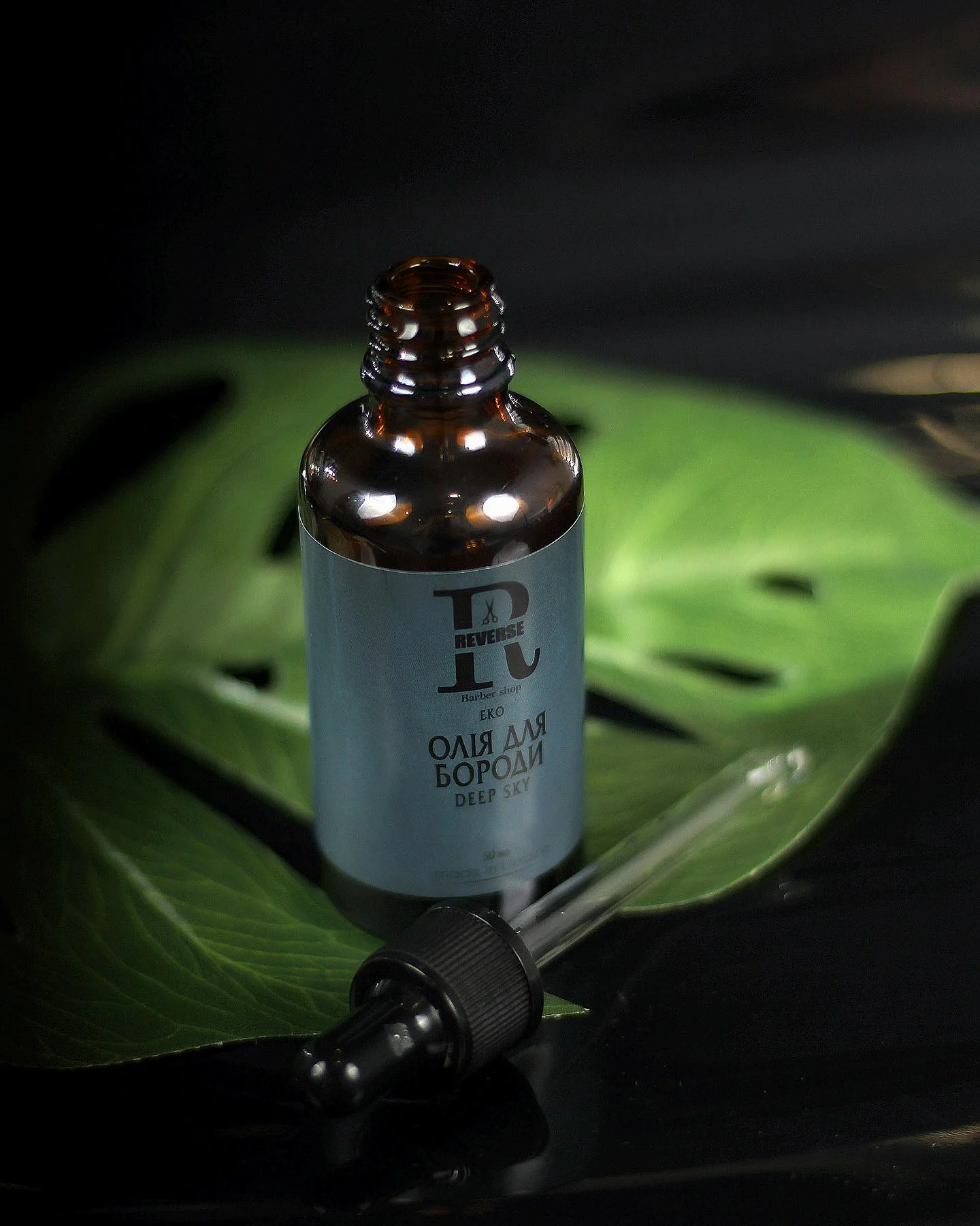 456711324_18024865598521203_4033459892096212839_n